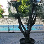 Neva Alacati