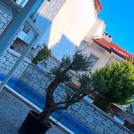 Hotel Neva 4*